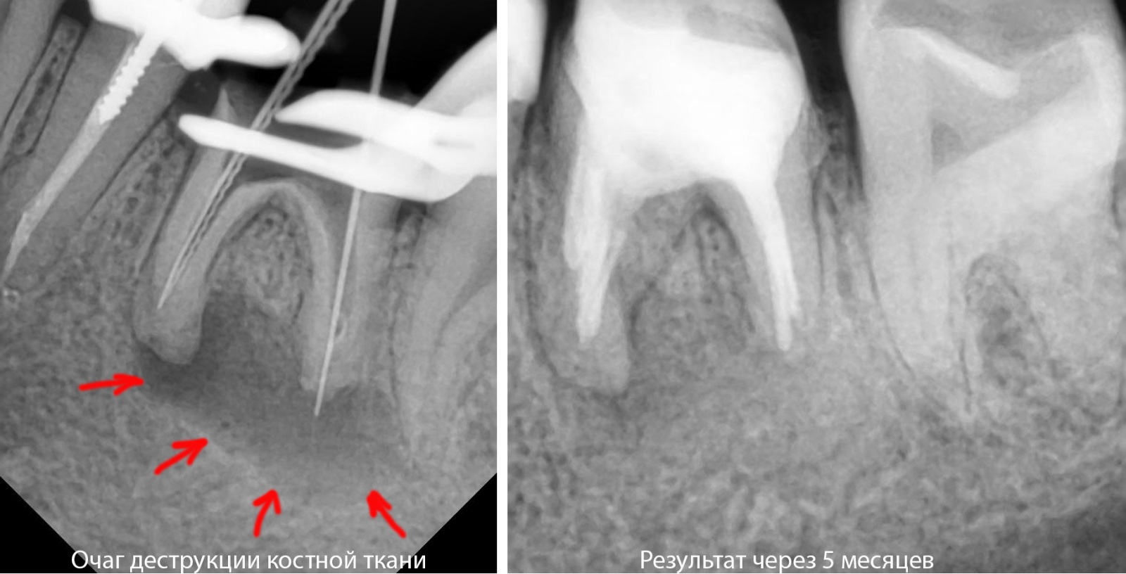 Фото клиники Smile Центр